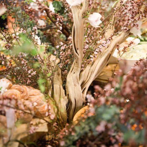 _ABM_0859